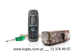 R650H Pro, komfortowy aparat DECT serii PRO