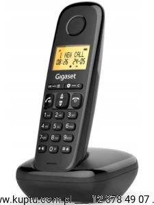 Gigaset Basic 100