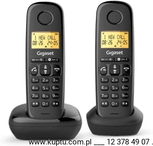 Gigaset Basic 100 DUO