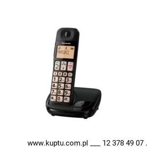 Panasonic KX-TGE110