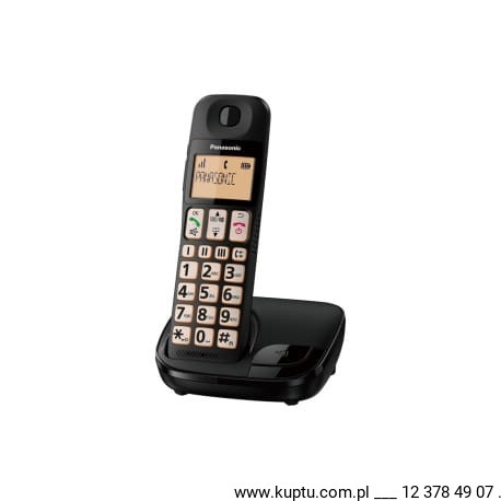 panasonic-kx-tge110.jpg