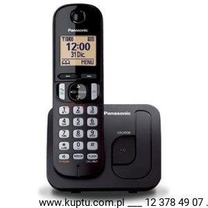 Panasonic KX-TGC210