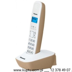 Panasonic KX-TG1611 PDJ